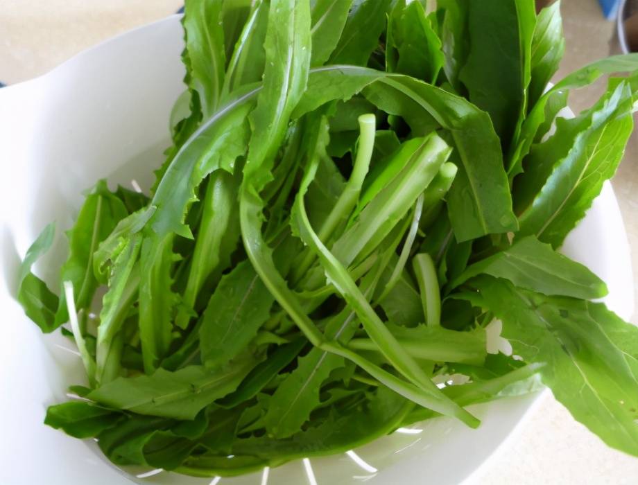 立春前后要多吃这道素菜含钙高一切一拌精神饱满迎春天