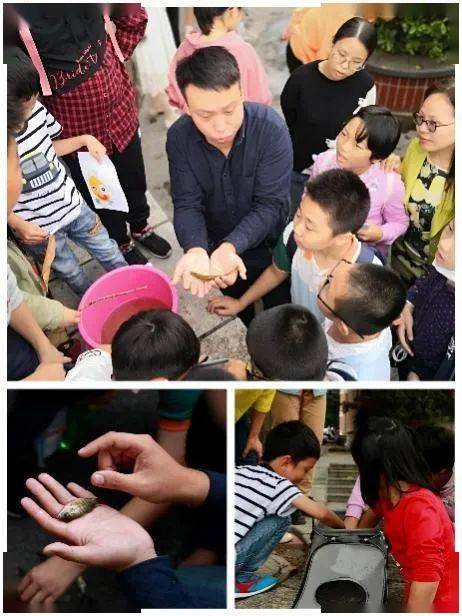 图7(左) 小朋友们在星雨湖进行鱼类采集活动图8 (右)小朋友们使用