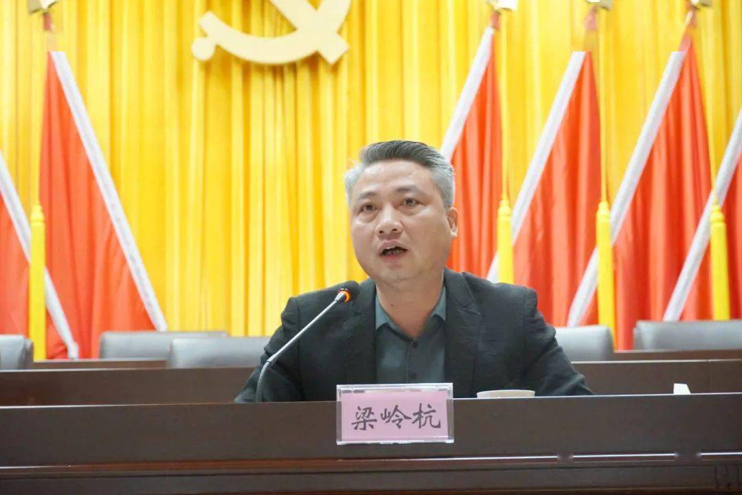 张槎街道党工委副书记梁岭杭发言梁岭杭副书记还就岁末年初安全生产