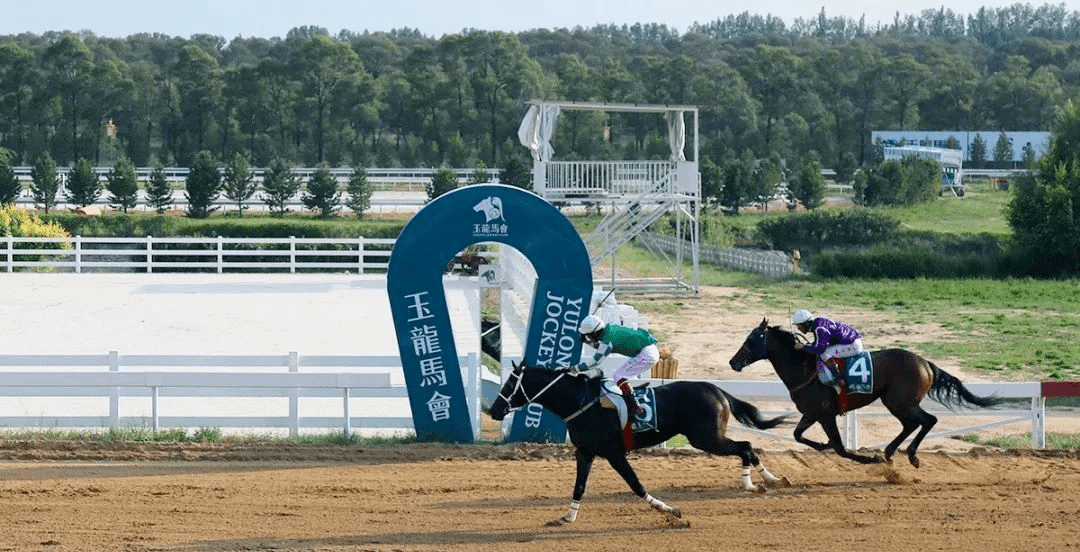 谁将成为2020中国年度马王