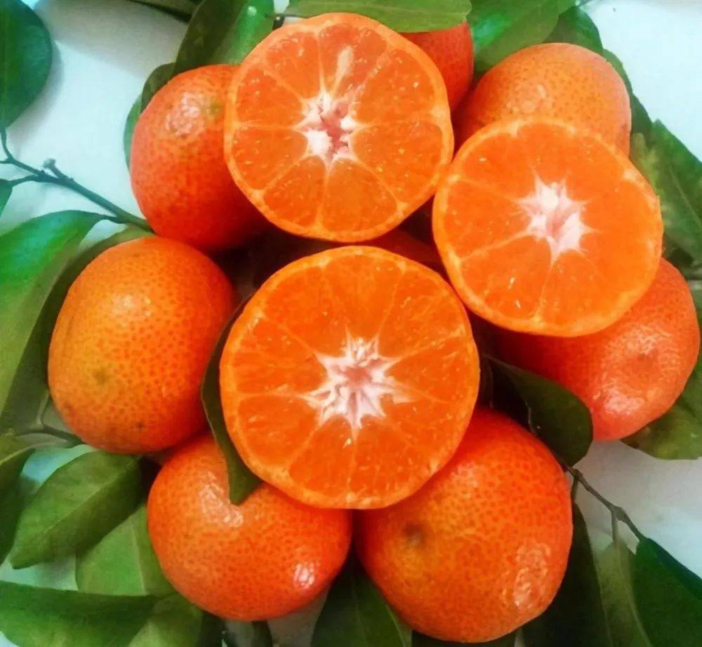 食午点:八宝粥 砂糖橘午餐:红烧仔排 荷塘小炒 鱼头炖豆腐早点:草莓