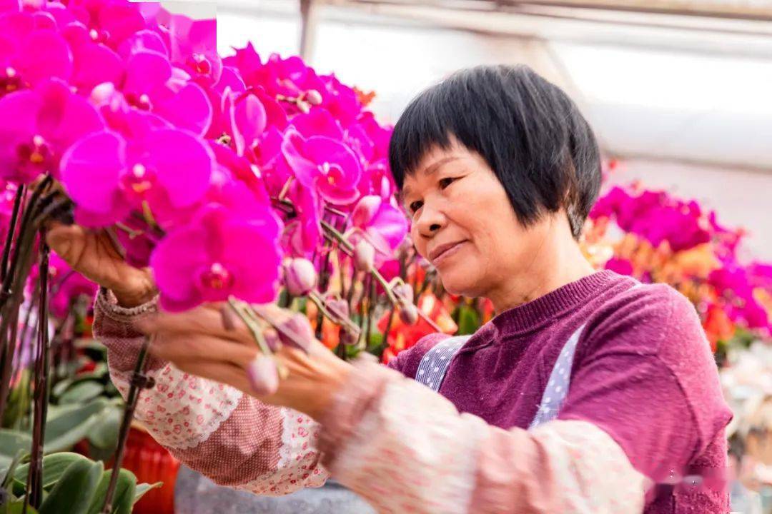 永春这处浪漫花圃吸引无数激情四溢的追梦人(图3)