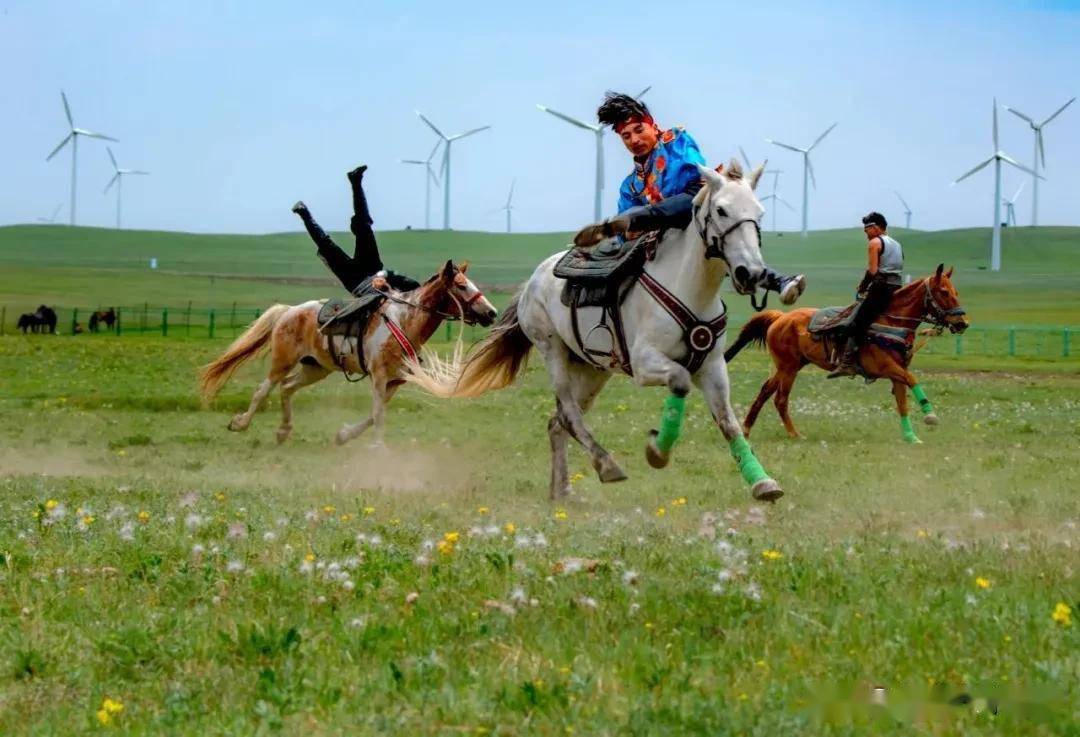 走进草原 | 感受黄花沟文化魅力_岩画