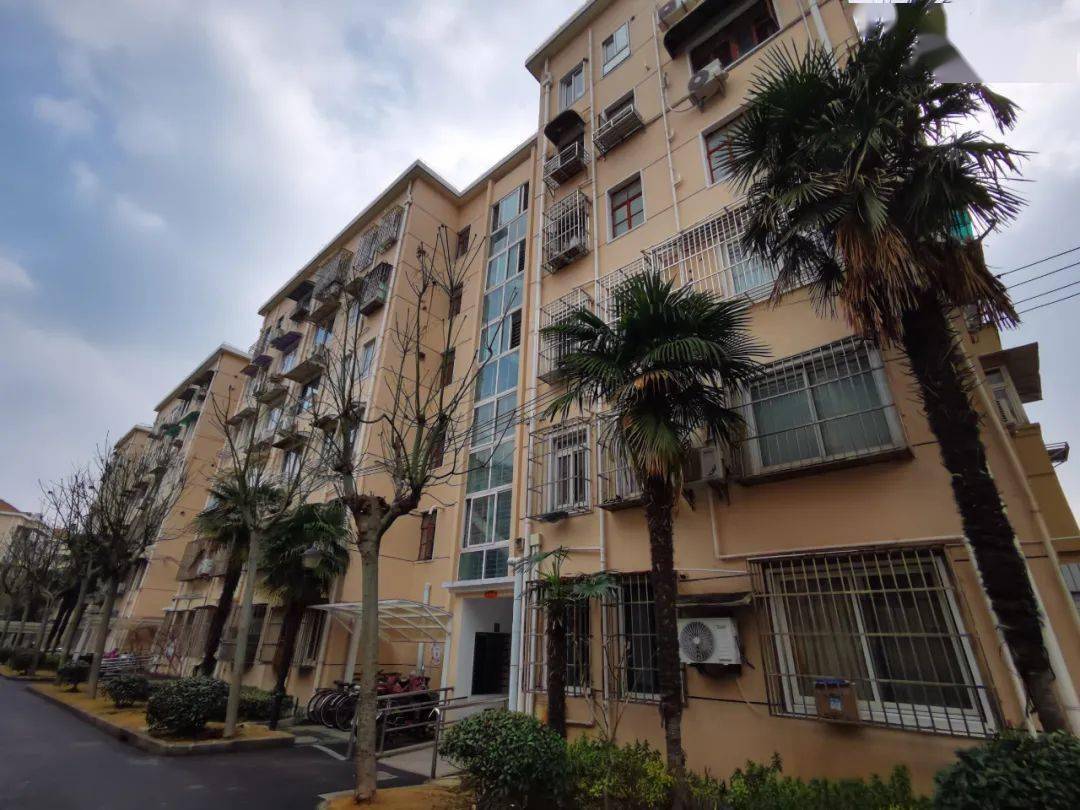 身边的温度丨大赞一楼居民居然成为这个小区加装电梯的牵头人