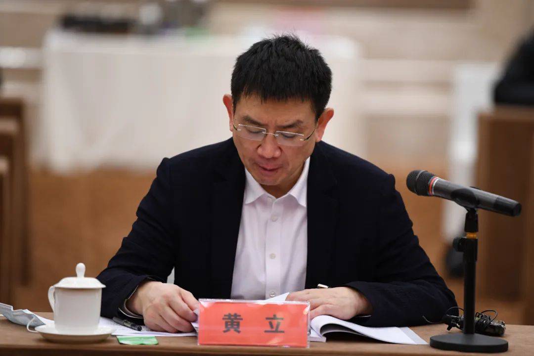 激发创新活力支持乡村振兴优化民生保障人大代表建言武汉十四五