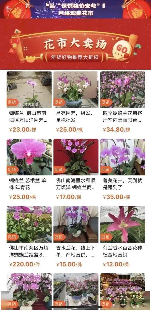 2021从化人口_2021从化吕田鹰嘴桃园(2)