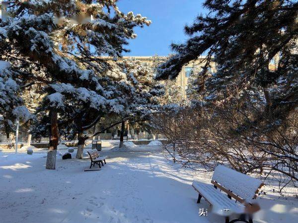 東北大學雪景老建築在雪後更好看