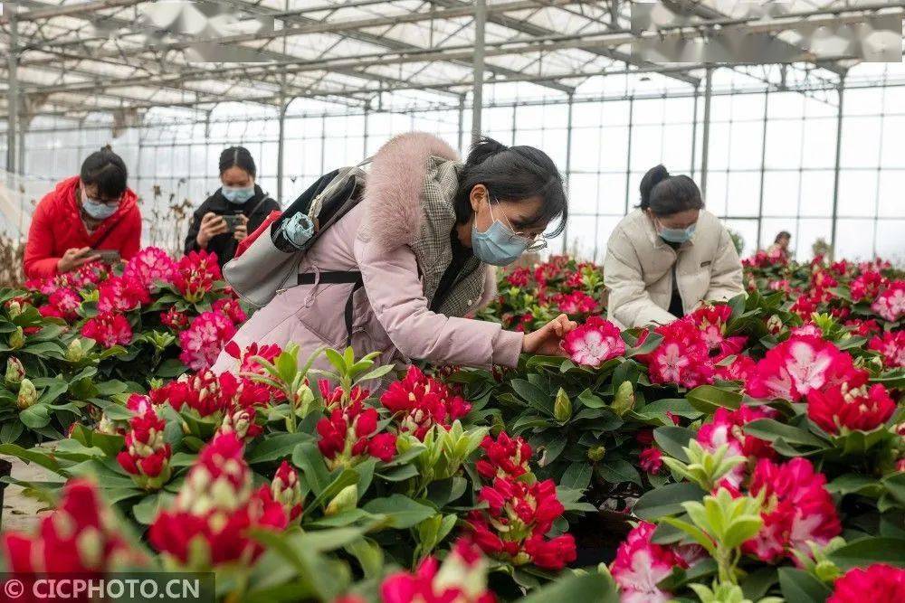 毕节人口有多少2021_毕节风景区图片有哪些(3)