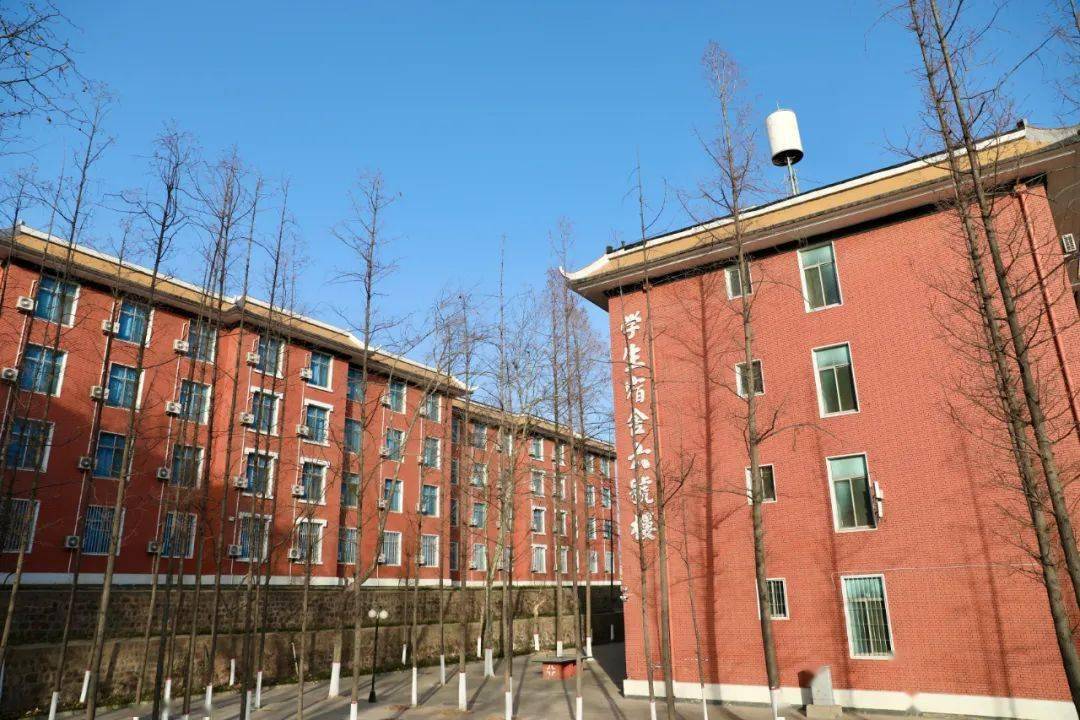 看不了初春那就让小达帮你留住吧