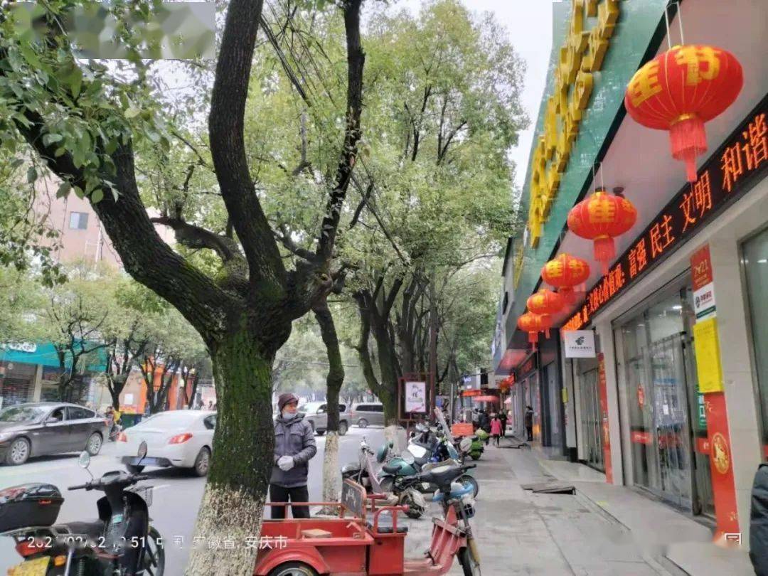 【张灯结彩 喜迎新春】潜山市区年味正浓_手机搜狐网