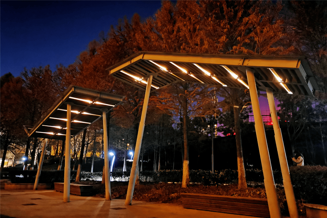 廊架,步道,绿树,花红路灯,照树灯,射灯投影灯,地埋灯……丰富多变的