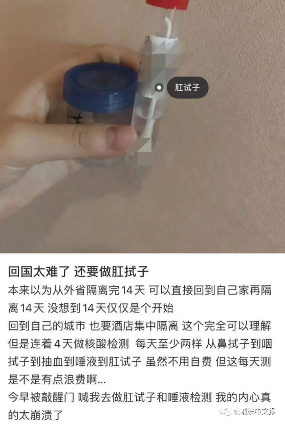 肛门核酸检测图片