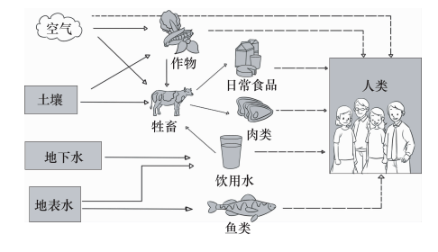 一级致癌物二恶英,到底是什么?