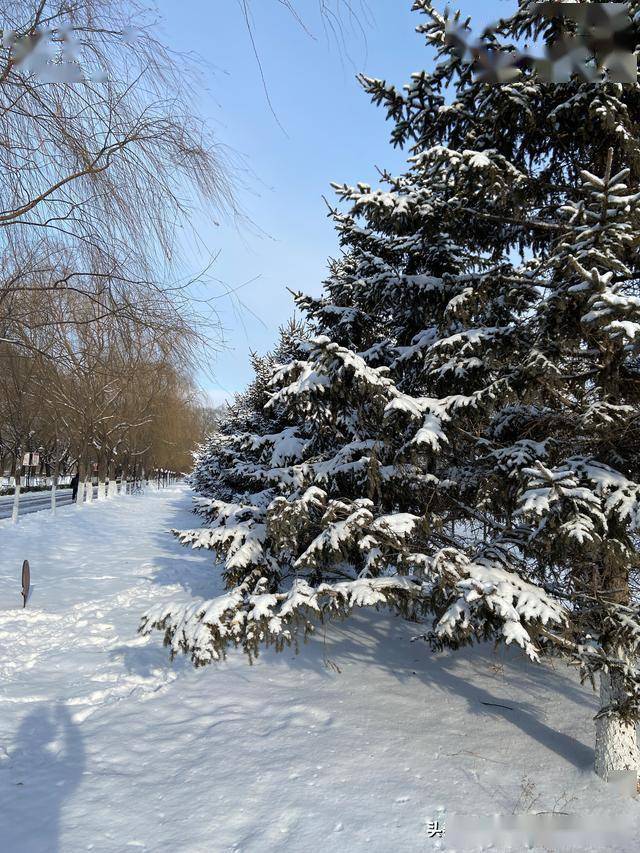 要知松高洁,待到雪化时 谁的诗?雪路覆盖雪被返回搜狐,查看更多