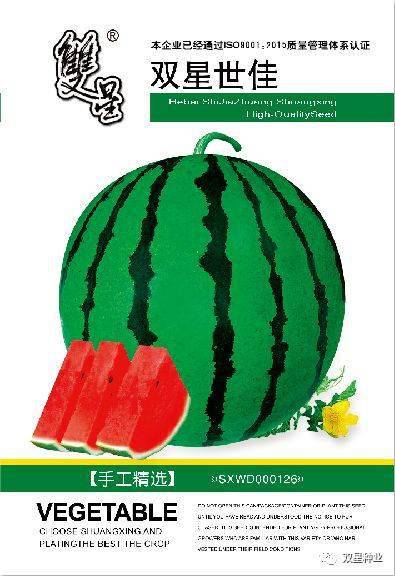 西瓜苗 秧不长新根的原因与措施 根系