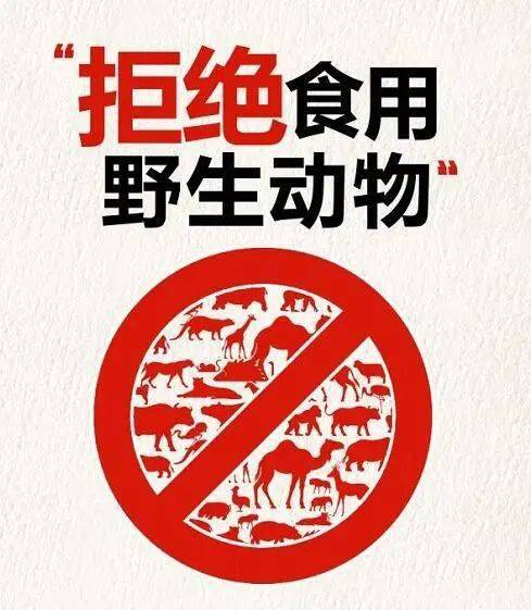 东至警方快速侦破两起非法出售收购珍贵濒危野生动物及其制品案
