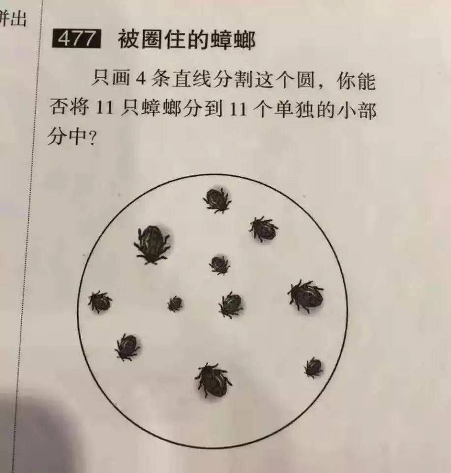 趣图举个栗子我叫荀彧不叫狗货