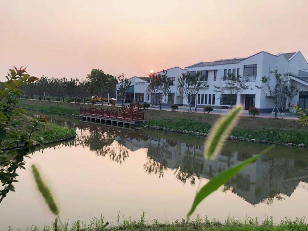 投票为奉贤最美河道打call需要你的参与