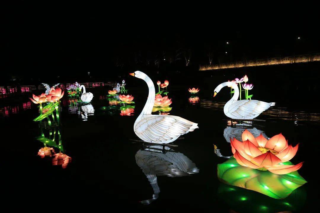 扬州凤凰岛灯光节图片