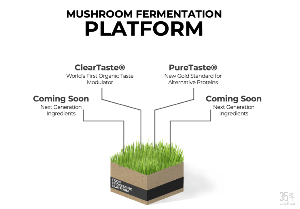 蘑菇排行_把蘑菇做出花样的3家公司,告诉你蘑菇真的是“万能”的