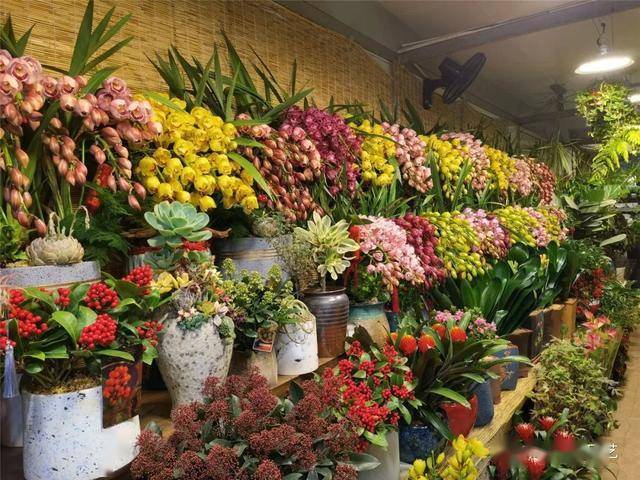 花卉市场批发各种花 994618f46f794effb6e59ed3624826cc.jpeg