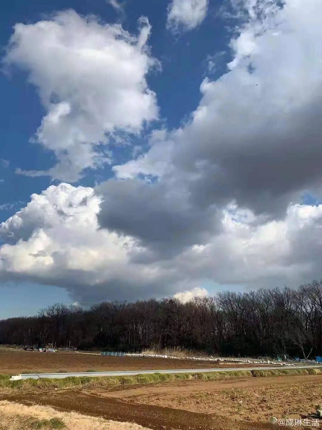 節分 转转会女主人日记 惠方 節分 转转会女主人日记 惠方