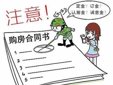 e964fbc72b054436b5b48ad5a40b68fc.jpeg