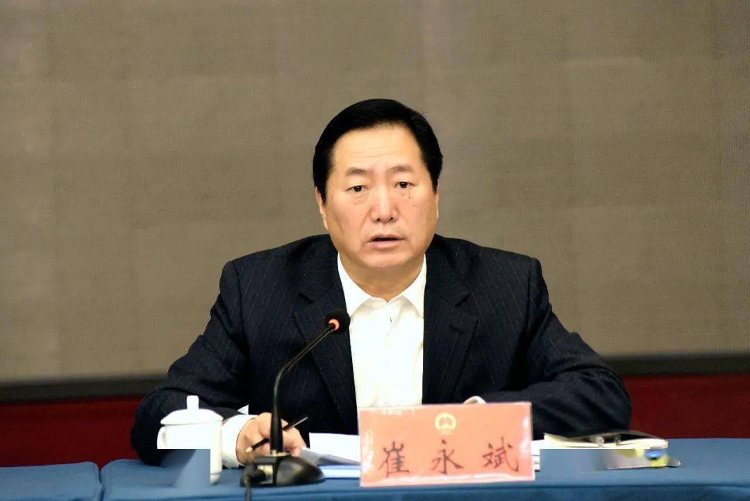 崔永斌参加武安市代表团审议