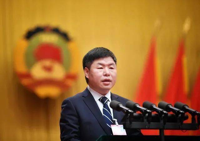 《浙江新闻联播》采访王旭接受浙江卫视《同心树》栏目专访林强接受