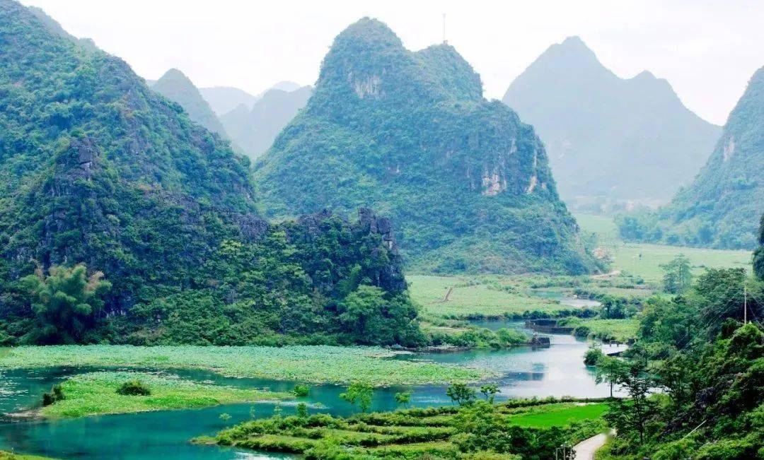 今天,一起走近广西那些有着神仙颜值的"地球之肾"……_湿地