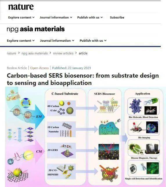 齐鲁工大综述基于碳纳米材料的sers生物传感器的研究进展