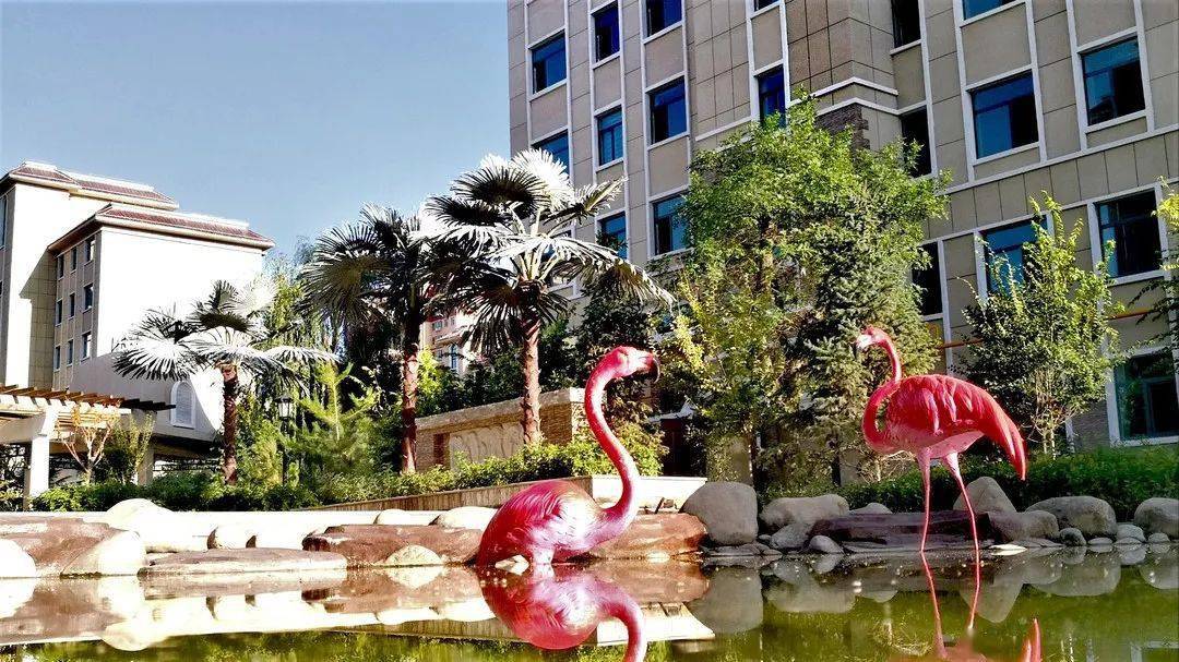 加州花园位于滨河新区核心