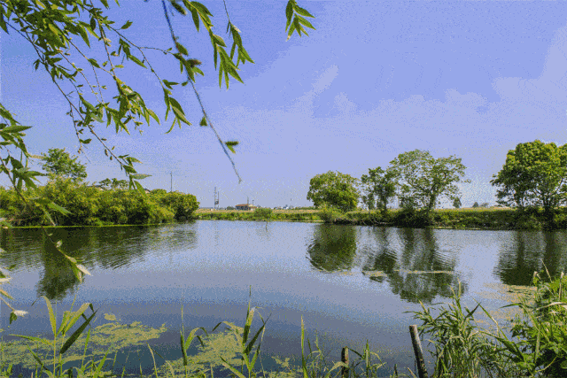 640_427gif 动态图 动图