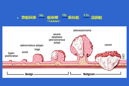 354cf8f4c13d4ae88fc93cf30648f29c.png