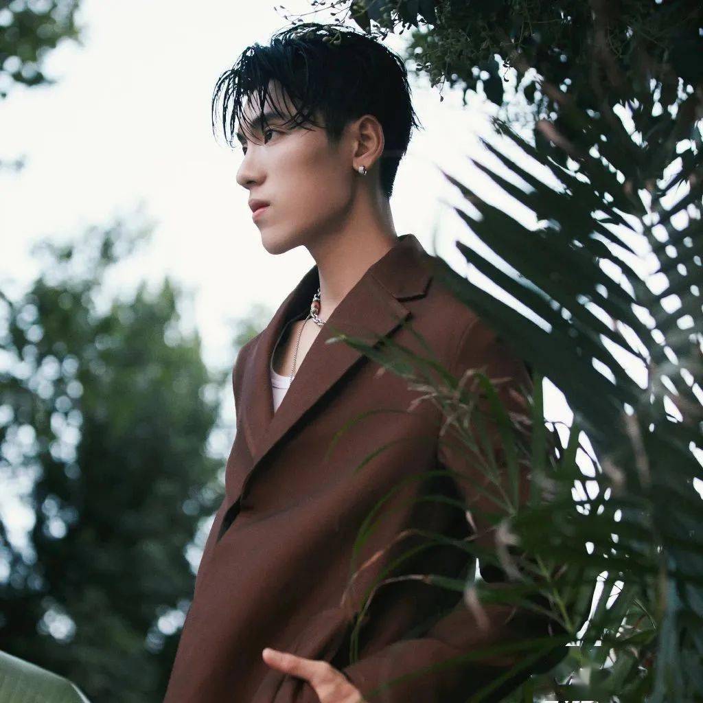 微信头像王子异