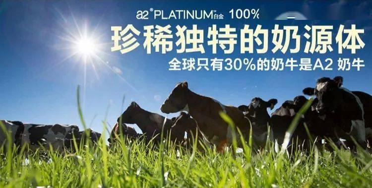 a2蛋白奶粉:赛道拥挤,概念玩坏,标准缺失!估计超50家企业蜂拥而至!