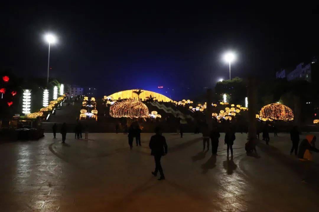 67巧家县城点亮牛年春节彩灯年味浓67