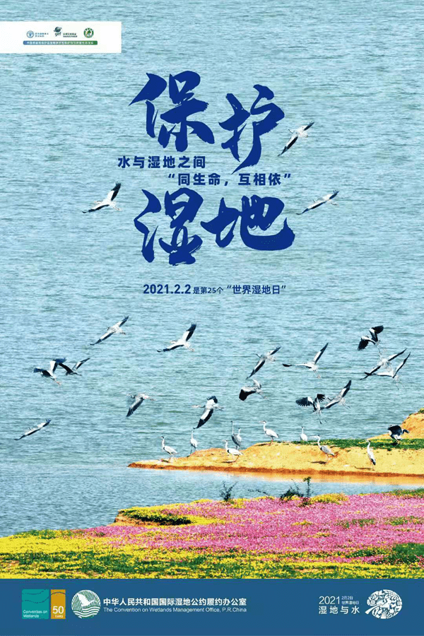 过年不回家 邀您线上打卡邵阳仙境美景