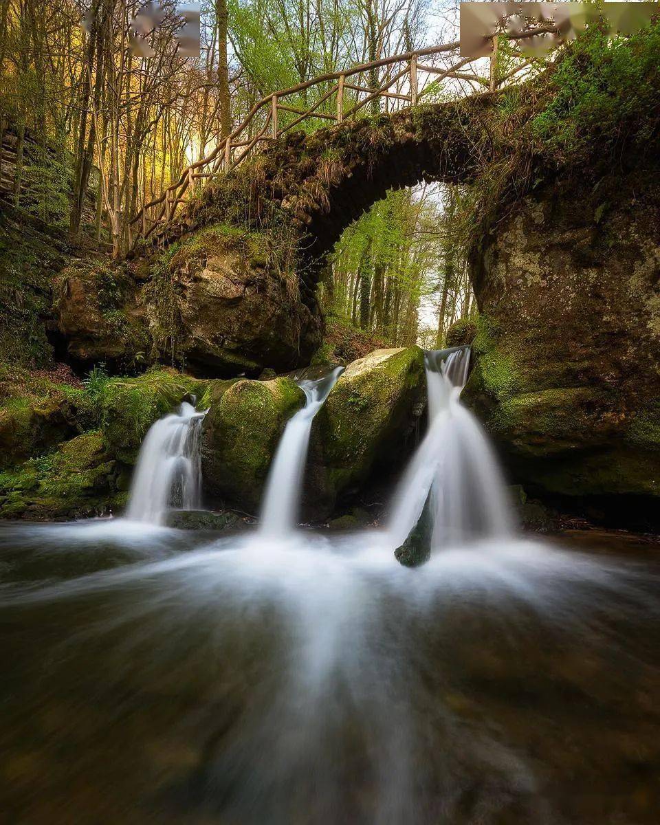 摄影群,与众多摄友交流,加我并发送"美图入群"扫码加群您的转发分享