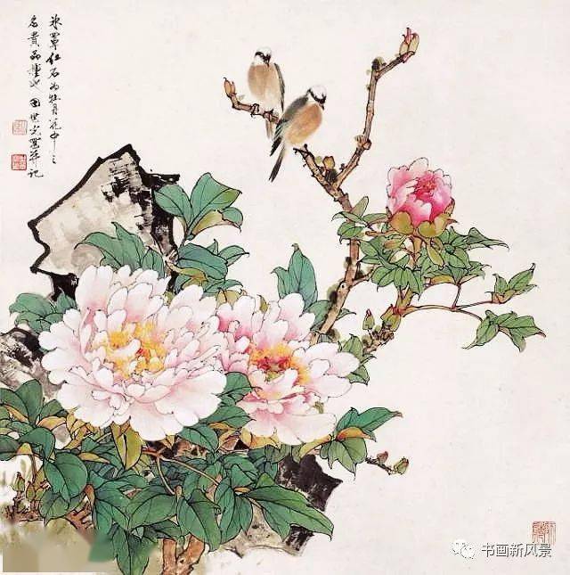 花鸟大师田世光笔下的牡丹!