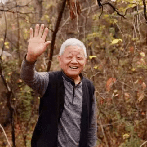 文化慕课|《张弼草书与当代草书状态》慕课开课啦！_刘洪彪