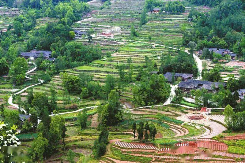 通过与多所高校及院所合作,万源市组建20人专家服务团,开展"专家人才