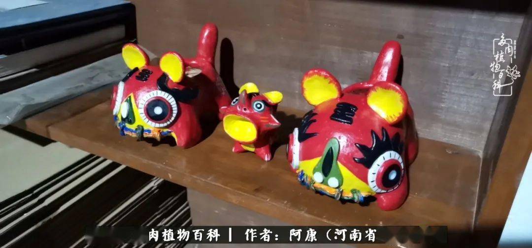 他说 多肉越养越细致 花盆也越做越好 人却越来越二了 百科