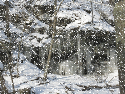 采雪陈世曦,网名无论魏晋,陕西人.吴门诗社成员.作者简介执 行