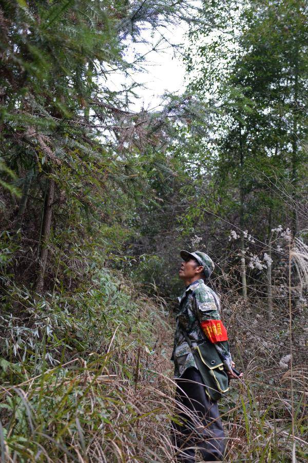 护林员廖苟林坚守是为了报恩