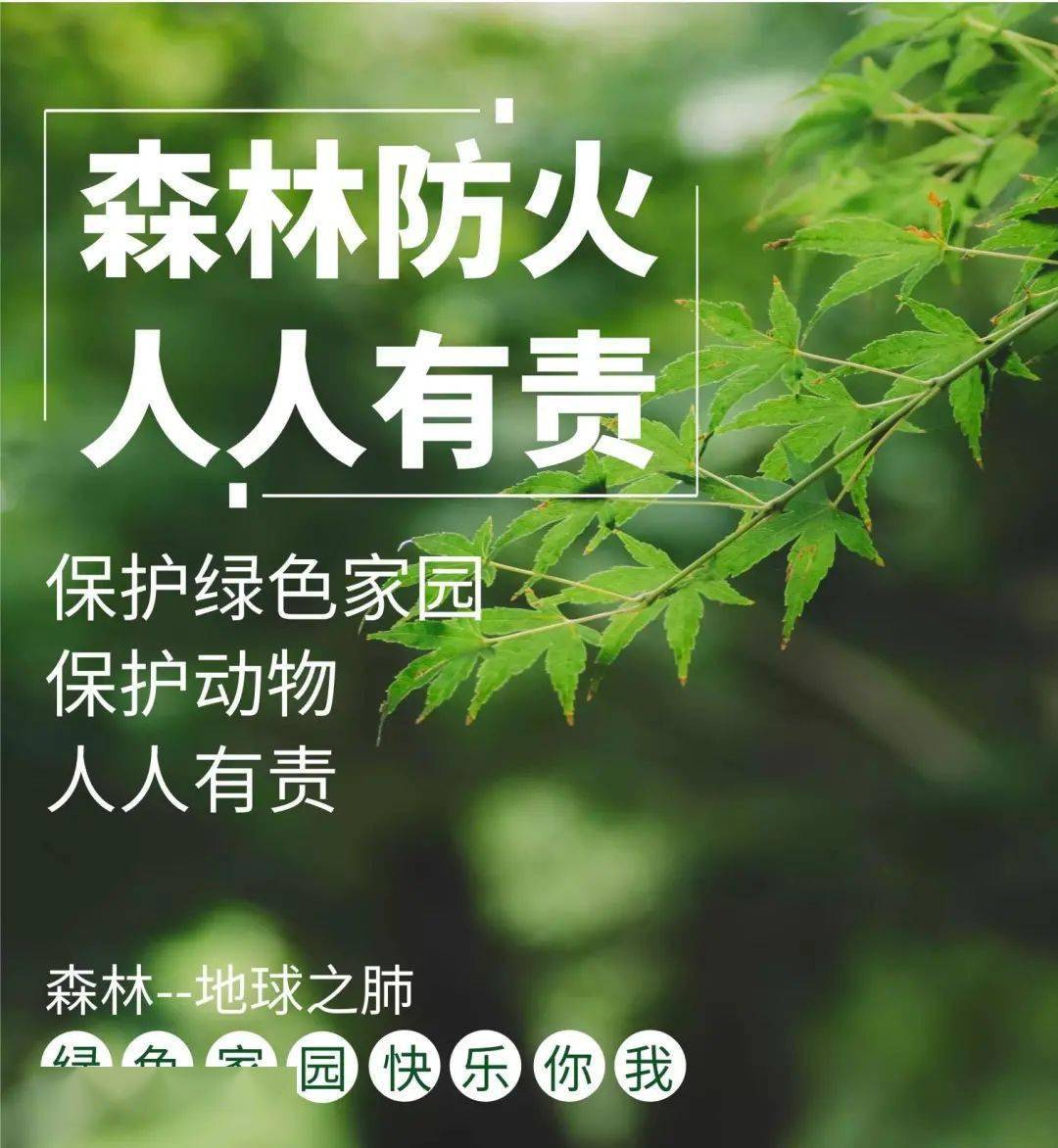 注意红色预警加强春节期间森林防火工作