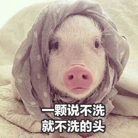 4dd9a515c95b4f56bab1b6a5b863f089.png