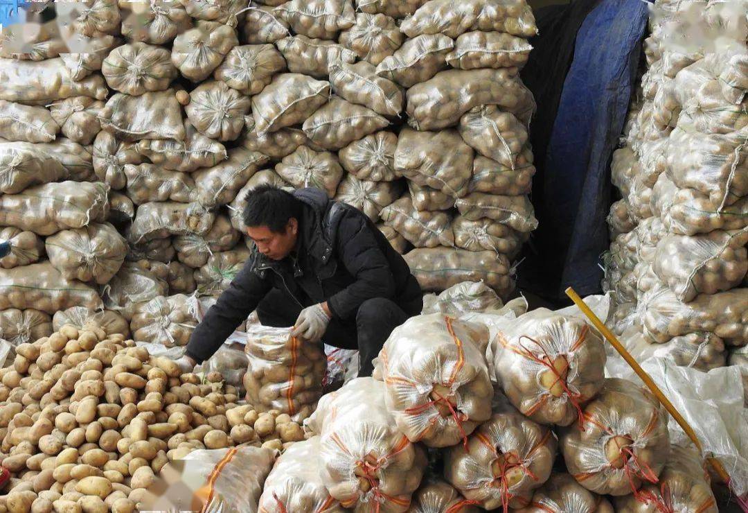 价格暴跌上万斤上市就滞销4毛一斤都没人要农民心痛