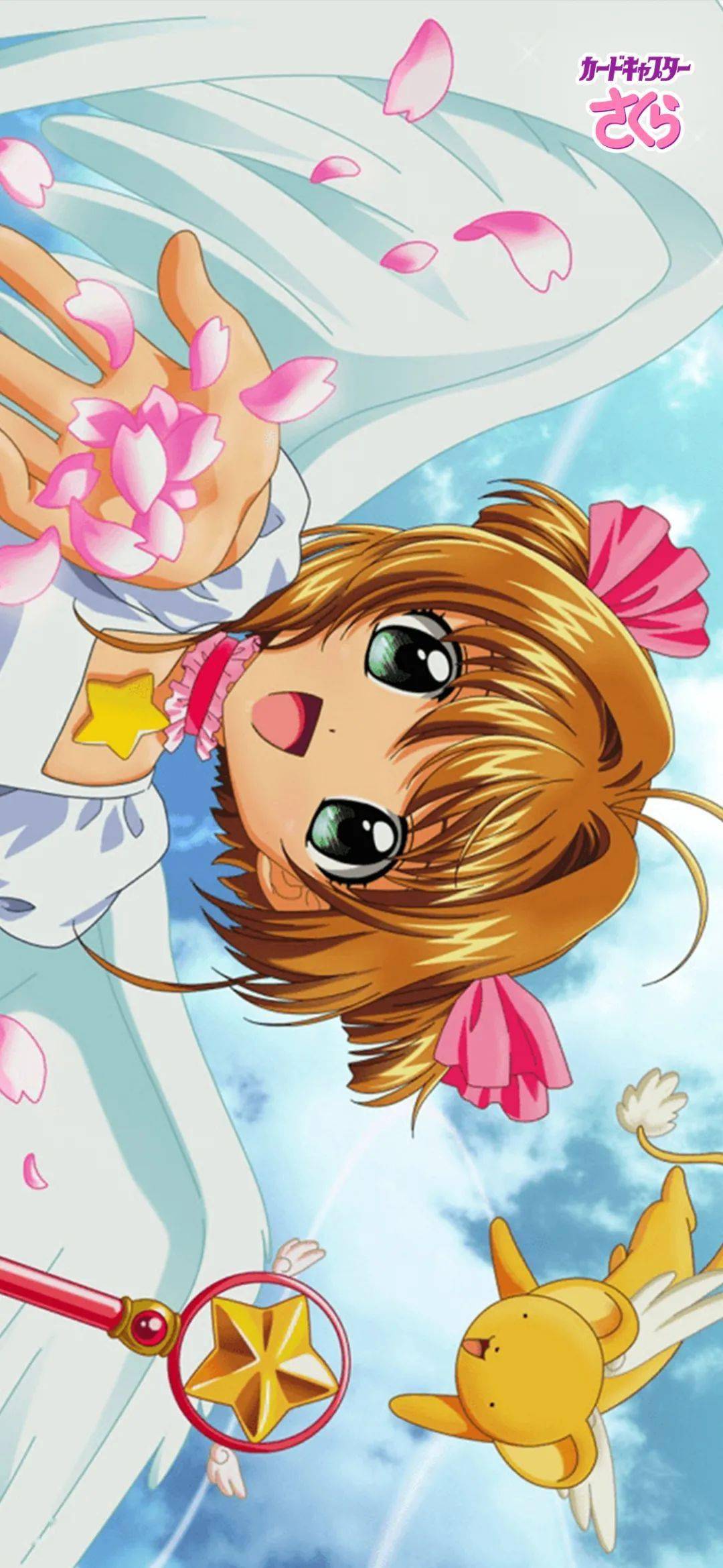 每日壁纸 | 百变小樱