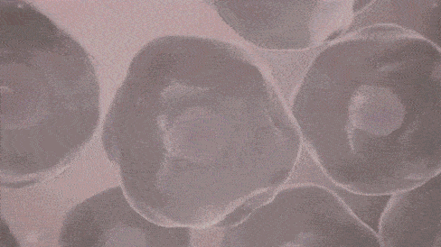 c31697912a3444e9b0e5478b2d98367a.gif